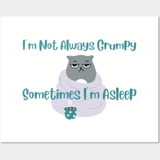 I'm Not Always Grumpy. Sometimes I'm Asleep Cat Shirt - Hilarious Cat Nap Tee, Perfect Casual Wear for Cat Lovers and Non-Morning Persons Posters and Art